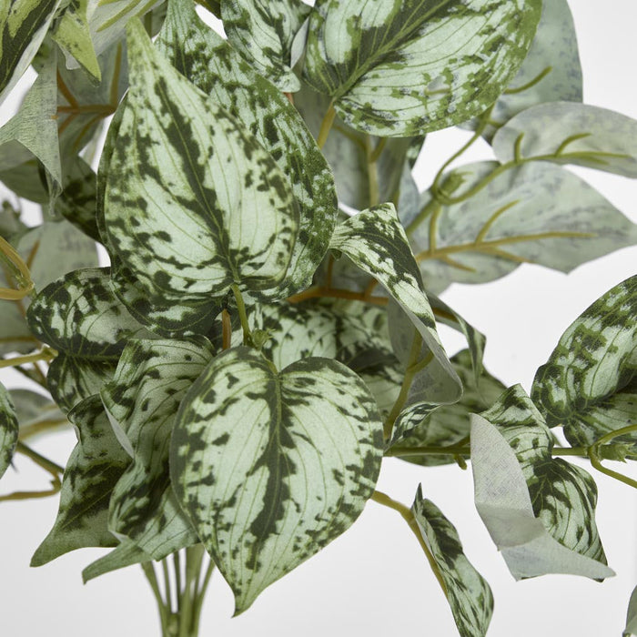 Artificial Scindapsus Bush 42Cm 42cm Green - FLORA DESIGNS