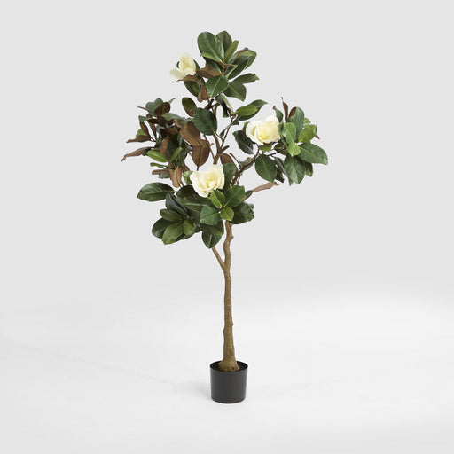 Artificial Potted Magnolia Tree 160cm Green - FLORA DESIGNS