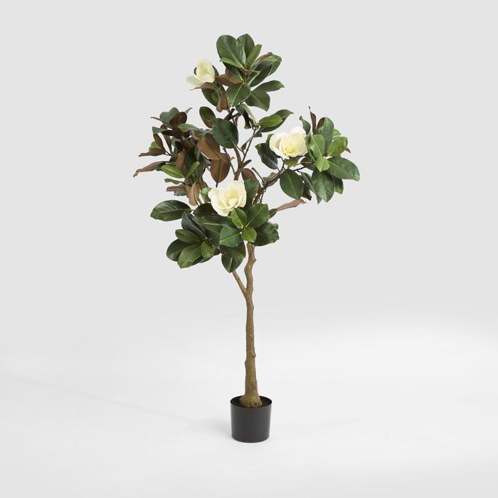 Artificial Potted Magnolia Tree 160cm Green - FLORA DESIGNS
