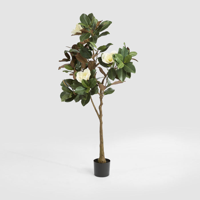 Artificial Potted Magnolia Tree 160cm Green - FLORA DESIGNS