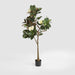 Artificial Potted Magnolia Tree 160cm Green - FLORA DESIGNS