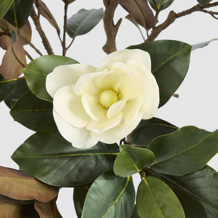 Artificial Potted Magnolia Tree 160cm Green - FLORA DESIGNS