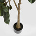 Artificial Potted Magnolia Tree 160cm Green - FLORA DESIGNS