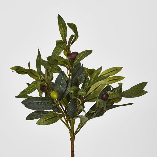 Artificial Olive Leaf Bush with Olives 38cm Green - FLORA DESIGNS