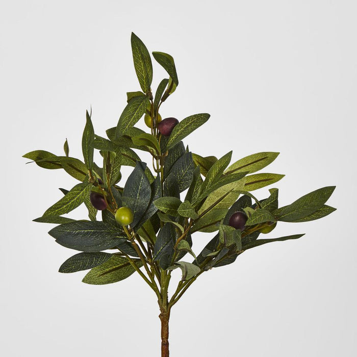 Artificial Olive Leaf Bush with Olives 38cm Green - FLORA DESIGNS