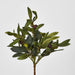 Artificial Olive Leaf Bush with Olives 38cm Green - FLORA DESIGNS
