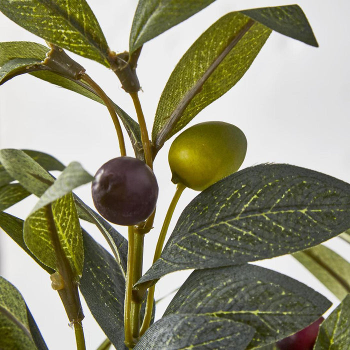 Artificial Olive Leaf Bush with Olives 38cm Green - FLORA DESIGNS
