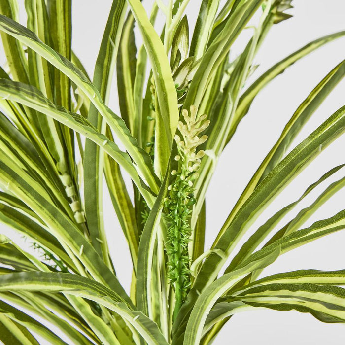 Artificial Green White Spider Plant with 79 Leaves Real Touch 46cm Green - FLORA DESIGNS