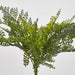 Artificial Lace Fern Bush 45cm Green - FLORA DESIGNS