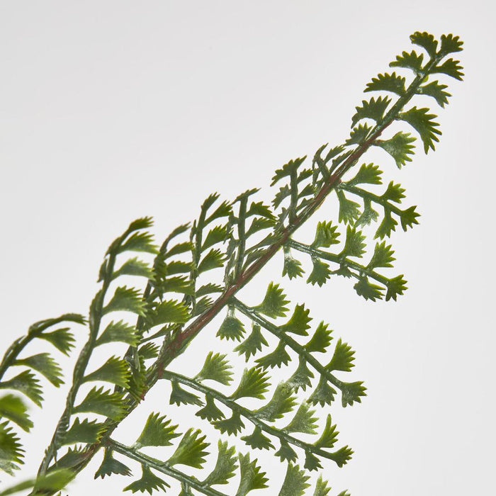 Artificial Lace Fern Bush 45cm Green - FLORA DESIGNS