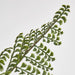 Artificial Lace Fern Bush 45cm Green - FLORA DESIGNS