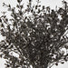 Artificial Boxwood Bush Black 25cm Black - FLORA DESIGNS