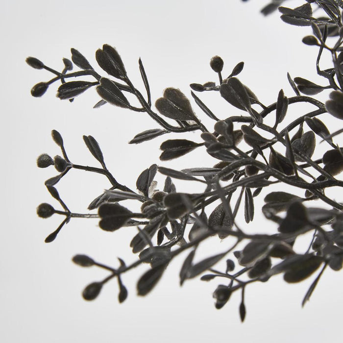 Artificial Boxwood Bush Black 25cm Black - FLORA DESIGNS