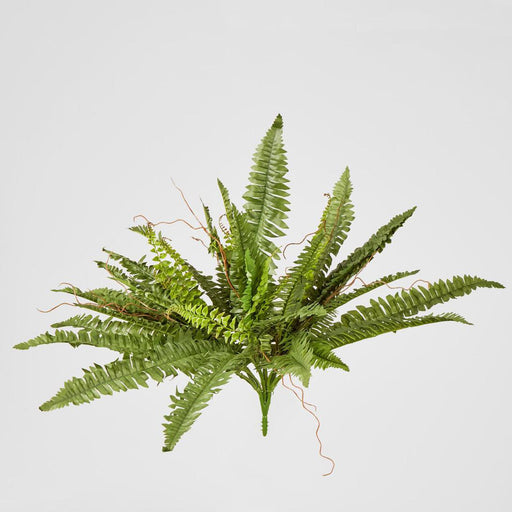 Artificial Boston Fern Bush X 4 48Lvs 70cm Green - FLORA DESIGNS