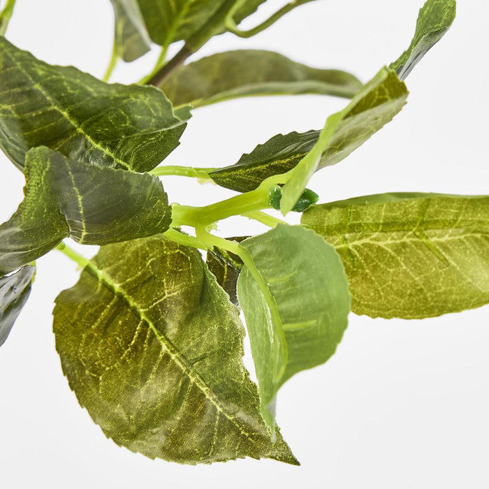 Artificial Camellia Leaf Bush X 7 68 Leaves 33cm Green - FLORA DESIGNS