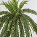 Artificial Huge Green Boston Fern Bush 52 Leaves 121cm Green - FLORA DESIGNS