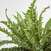 Artificial Huge Green Boston Fern Bush 52 Leaves 121cm Green - FLORA DESIGNS