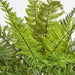 Artificial Leather Fern Bush W 34 Leaves 1cm Green - FLORA DESIGNS