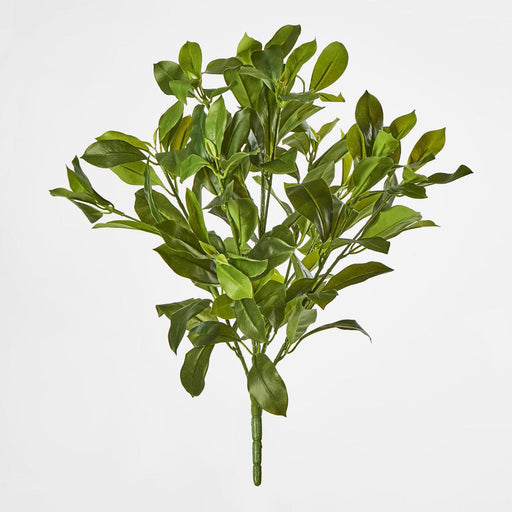 Artificial Fagraea Ceilanica Bush Green 50cm Green - FLORA DESIGNS
