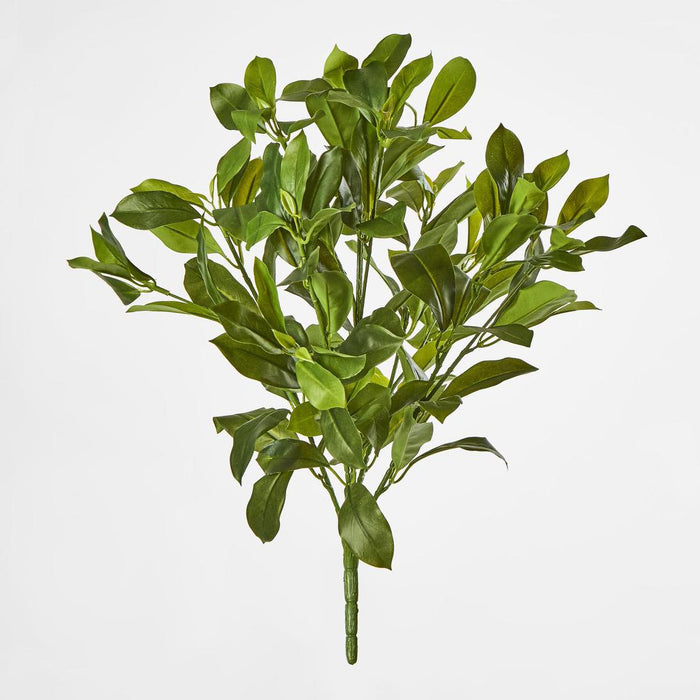 Artificial Fagraea Ceilanica Bush Green 50cm Green - FLORA DESIGNS