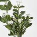 Artificial Stephanotis Bush 39cm Green - FLORA DESIGNS