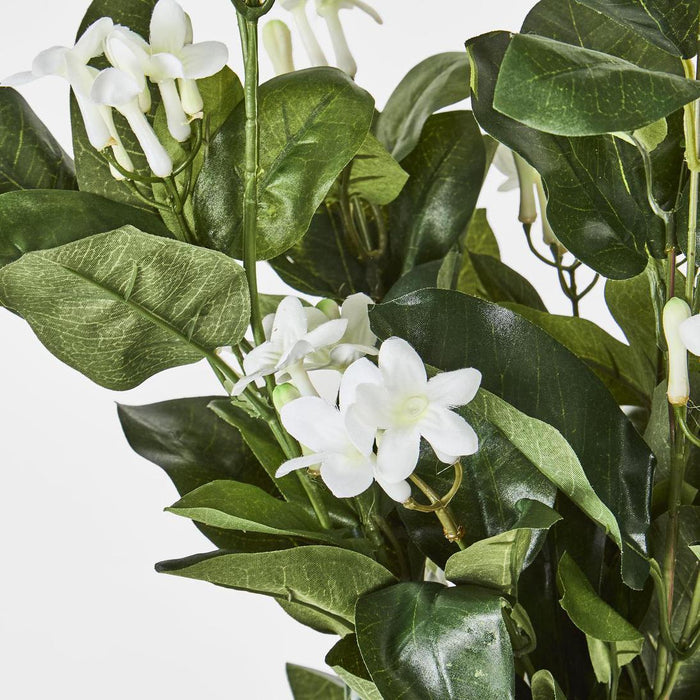 Artificial Stephanotis Bush 39cm Green - FLORA DESIGNS