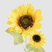 Artificial Sunflower Stem with 2 Heads 70cm Yellow - FLORA DESIGNS
