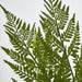 Artificial Fern Bush Green 5cm Green - FLORA DESIGNS
