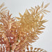 Artificial Fern Bush Pink 12cm Cream - FLORA DESIGNS