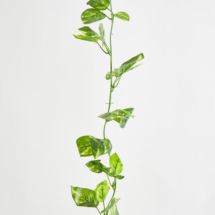 Artificial Pothos Leaf Garland Green 70cm Green - FLORA DESIGNS