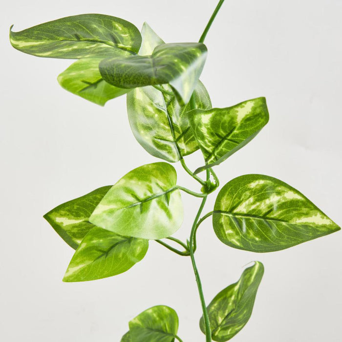 Artificial Pothos Leaf Garland Green 70cm Green - FLORA DESIGNS