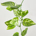 Artificial Pothos Leaf Garland Green 70cm Green - FLORA DESIGNS