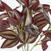 Artificial Wandering Jew Bush Purple 30cm Purple - FLORA DESIGNS