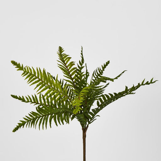 Artificial Blechnum Fern Bush 6cm Green - FLORA DESIGNS