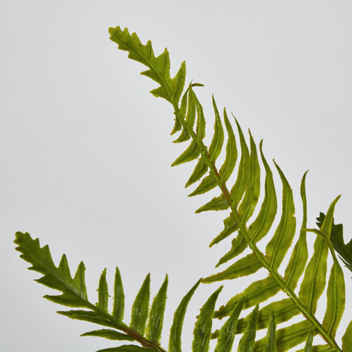 Artificial Blechnum Fern Bush 6cm Green - FLORA DESIGNS