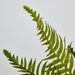 Artificial Blechnum Fern Bush 6cm Green - FLORA DESIGNS