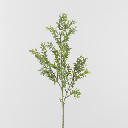 Artificial Boxwood Leaf Spray Green 65cm Light Green - FLORA DESIGNS