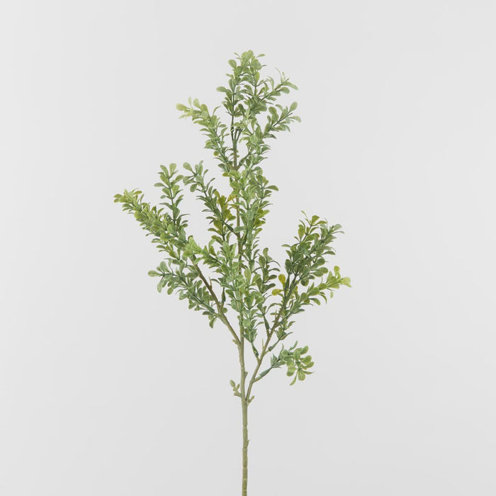 Artificial Boxwood Leaf Spray Green 65cm Light Green - FLORA DESIGNS