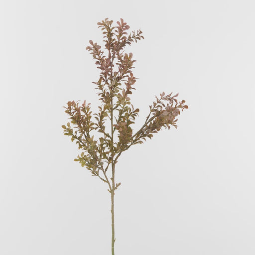 Artificial Boxwood Leaf Spray Peach 68cm Dark Green - FLORA DESIGNS