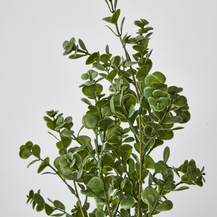 Artificial Boxwood Bush Spray Light Green 25cm Light Green - FLORA DESIGNS