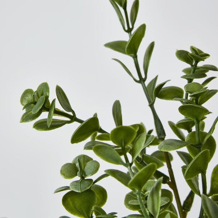 Artificial Boxwood Bush Spray Light Green 25cm Light Green - FLORA DESIGNS
