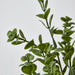 Artificial Boxwood Bush Spray Light Green 25cm Light Green - FLORA DESIGNS