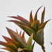 Artificial Pine Leaf Spray Pink 35cm Grey - FLORA DESIGNS