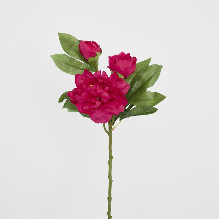 Artificial Peony with Two Buds Stem Fuchsia 63cm Fuchsia - FLORA DESIGNS