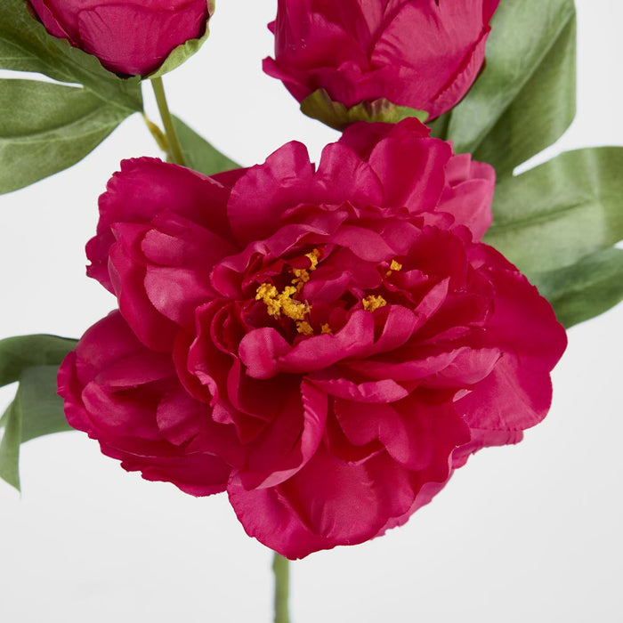 Artificial Peony with Two Buds Stem Fuchsia 63cm Fuchsia - FLORA DESIGNS