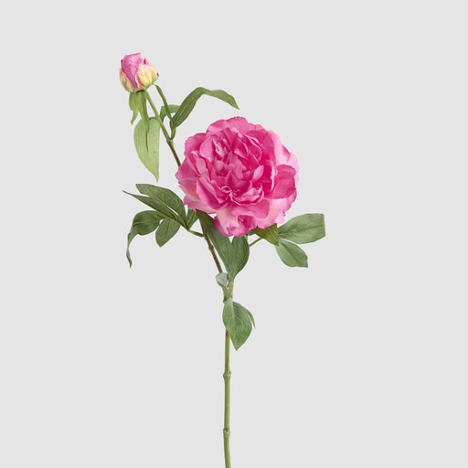 Artificial Peony Floral Stem Hot Pink 69cm Dark Pink - FLORA DESIGNS