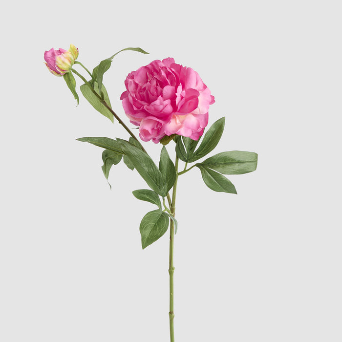 Artificial Peony Floral Stem Hot Pink 69cm Dark Pink - FLORA DESIGNS
