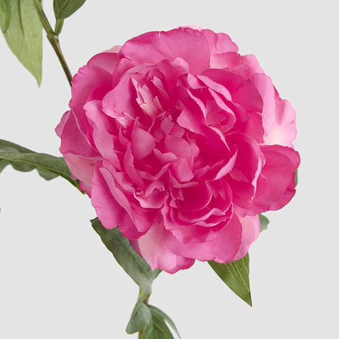 Artificial Peony Floral Stem Hot Pink 69cm Dark Pink - FLORA DESIGNS