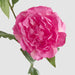 Artificial Peony Floral Stem Hot Pink 69cm Dark Pink - FLORA DESIGNS