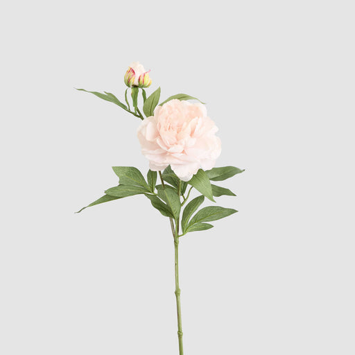 Artificial Peony Floral Stem Blush Pink 69cm Light Pink - FLORA DESIGNS